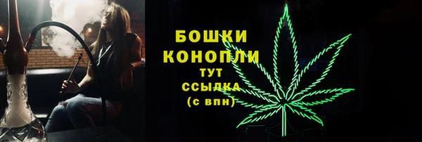 PSILOCYBIN Магадан