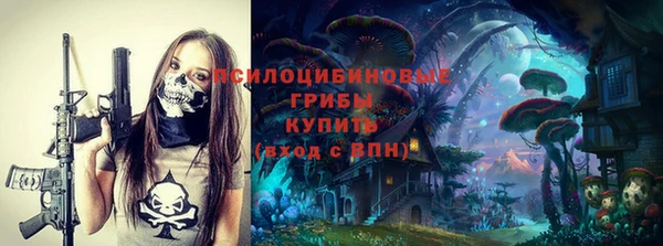 сатива Медвежьегорск