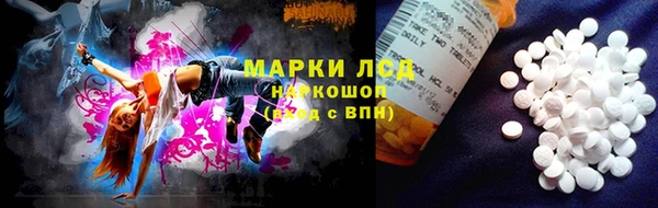 спиды Белокуриха
