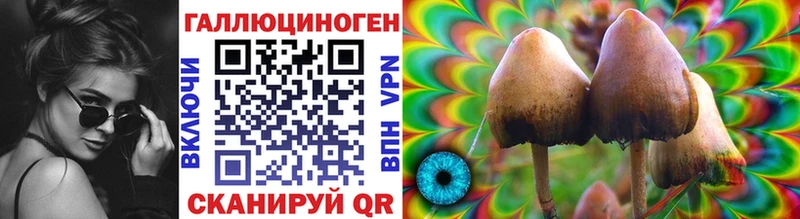 мориарти телеграм  Бердск  Псилоцибиновые грибы Psilocybe 