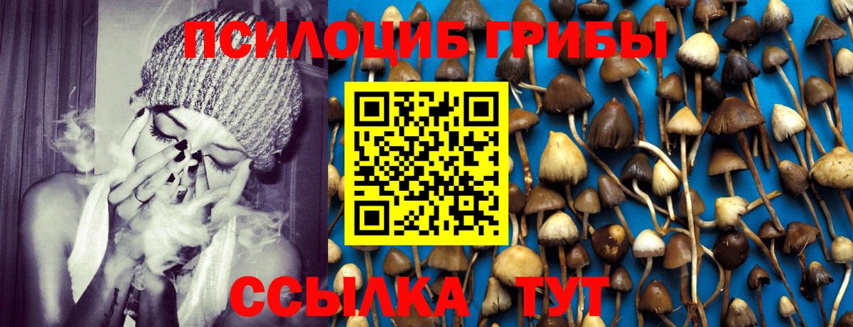 ГАШИШ Бердск