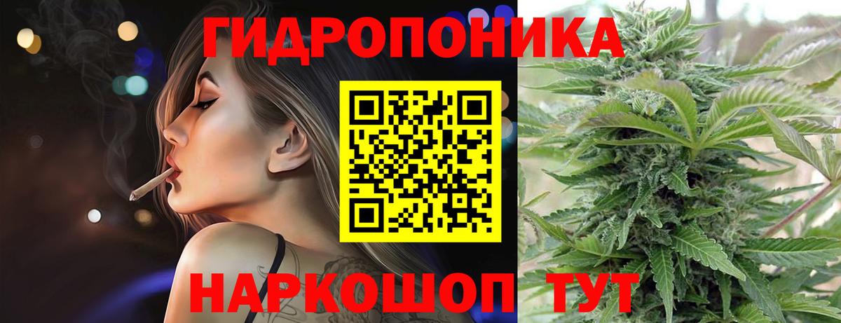 Бошки марихуана индика  Вход с VPN  Каннабис Ganja  Бердск 